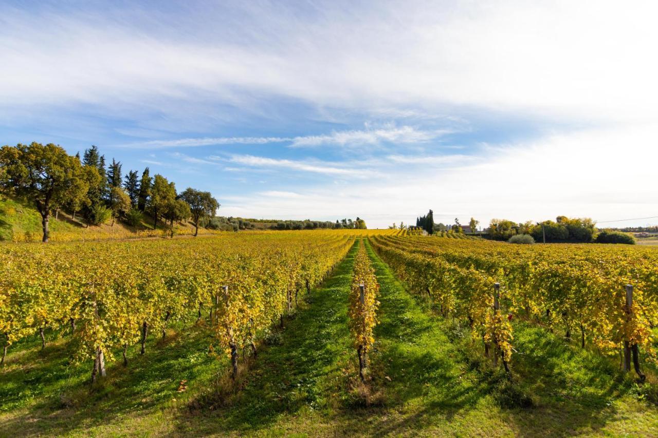 Agriturismo Ai Prati Lazise Buitenkant foto