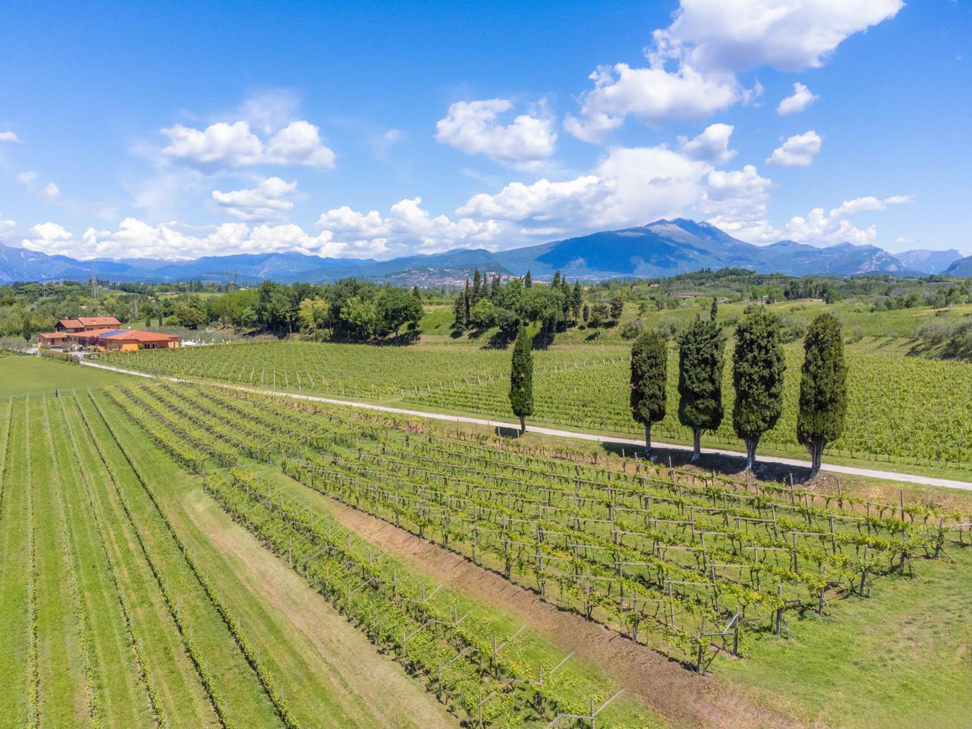 Agriturismo Ai Prati Lazise Buitenkant foto